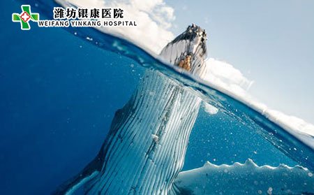 濰坊皮膚病醫(yī)院提醒您紅斑狼瘡應(yīng)該注意些什么?